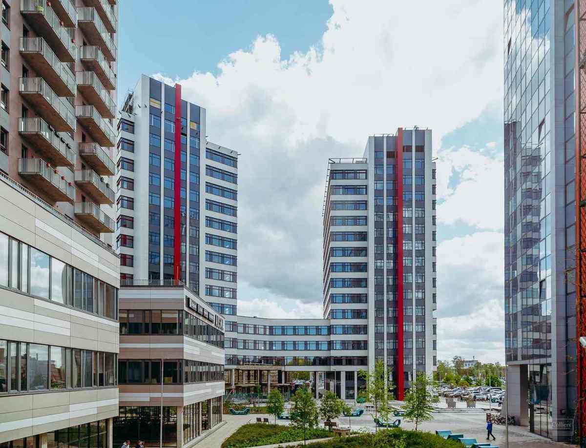 Jaunā Teika
