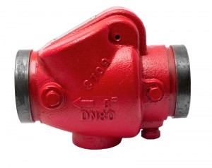 Check valve-300x238